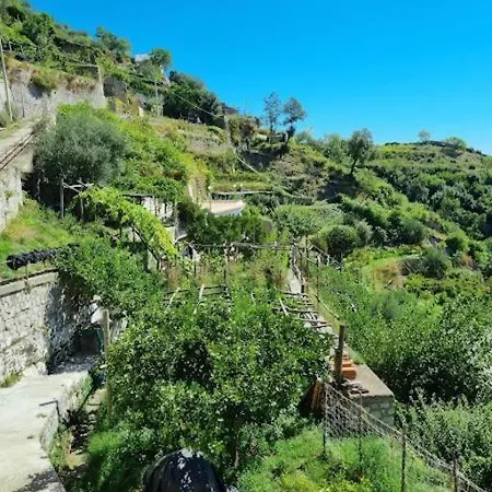Apartamento A Casa Di Nonna Elvira *